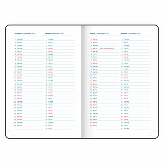 Ежедневник датированный 2025, А5, Galant White, под кожу, белый 10