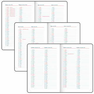 Ежедневник датированный 2025, А5, Galant White, под кожу, белый 11