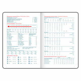 Ежедневник датированный 2025, А5, Galant White, под кожу, белый 12