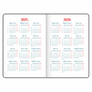 Ежедневник датированный 2025, А5, Galant White, под кожу, белый 7