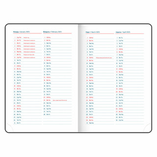 Ежедневник датированный 2025, А5, Galant White, под кожу, белый 8