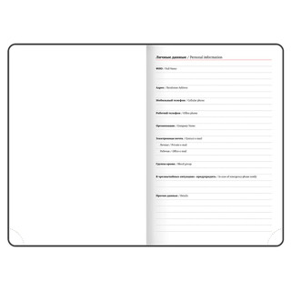 Ежедневник датированный 2025, А4, Brauberg Favorite, под кожу, синий 5