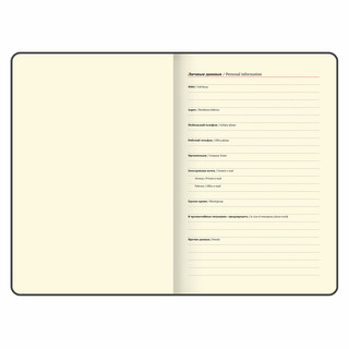 Еженедельник датированный 2025, А5, Brauberg Imperial, под кожу, синий 4