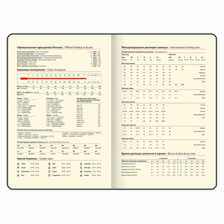 Еженедельник датированный 2025, А5, Brauberg Imperial, под кожу, черный 10