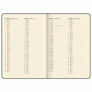 Еженедельник датированный 2025, А4, Brauberg Comodo, под кожу, коричневый 10