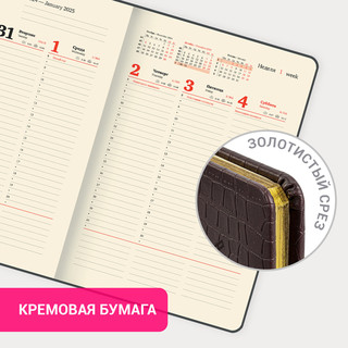 Еженедельник датированный 2025, А4, Brauberg Comodo, под кожу, коричневый 18