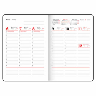 Еженедельник датированный 2025, А4, Brauberg Favorite, под кожу, синий 13