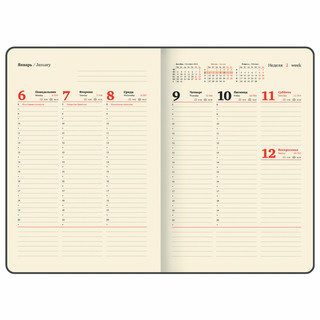 Еженедельник датированный 2025, А4, Brauberg 'Imperial', под кожу, синий 14