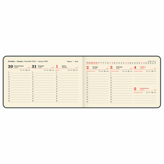 Еженедельник датированный 2025, А6, Brauberg Unique, красный 12