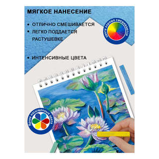 Сухая пастель 12 цветов художественная, Acmeliae 5