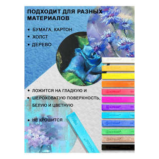 Сухая пастель 12 цветов художественная, Acmeliae 6