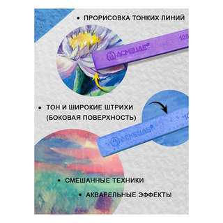 Сухая пастель 12 цветов художественная, Acmeliae 7