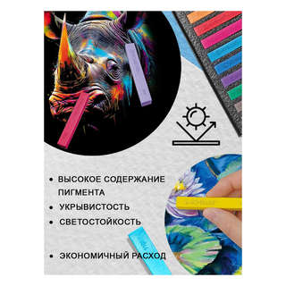 Сухая пастель 12 цветов художественная, Acmeliae 8