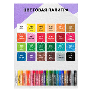 Масляная пастель 24 цвета художественная, Acmeliae 4