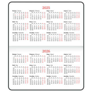 Еженедельник датированный 2025, А6, Brauberg 'Rainbow', под кожу, бирюза 6