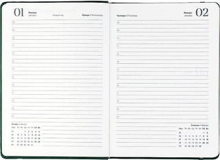 Датированный ежедневник планер 2025 Infolio 'Snake' (змея), А5, 176 листов, твердая обложка из экозамши, зеленый 10