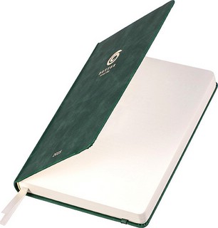 Датированный ежедневник планер 2025 Infolio 'Snake' (змея), А5, 176 листов, твердая обложка из экозамши, зеленый 2