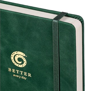 Датированный ежедневник планер 2025 Infolio 'Snake' (змея), А5, 176 листов, твердая обложка из экозамши, зеленый 3