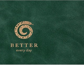 Датированный ежедневник планер 2025 Infolio 'Snake' (змея), А5, 176 листов, твердая обложка из экозамши, зеленый 4