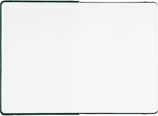 Датированный ежедневник планер 2025 Infolio 'Snake' (змея), А5, 176 листов, твердая обложка из экозамши, зеленый 6