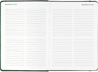 Датированный ежедневник планер 2025 Infolio 'Snake' (змея), А5, 176 листов, твердая обложка из экозамши, зеленый 8