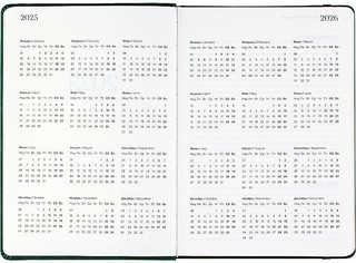 Датированный ежедневник планер 2025 Infolio 'Snake' (змея), А5, 176 листов, твердая обложка из экозамши, зеленый 9