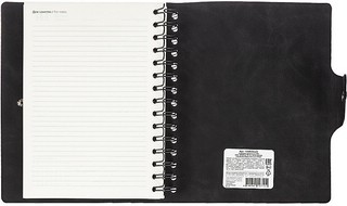 Ежедневник датированный 2025 Infolio 'Snake' (змея) А5, 160 листов, на спирали, черный 10