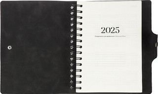 Ежедневник датированный 2025 Infolio 'Snake' (змея) А5, 160 листов, на спирали, черный 7
