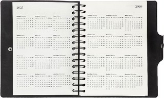 Ежедневник датированный 2025 Infolio 'Snake' (змея) А5, 160 листов, на спирали, черный 8