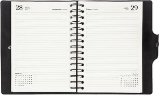 Ежедневник датированный 2025 Infolio 'Snake' (змея) А5, 160 листов, на спирали, черный 9