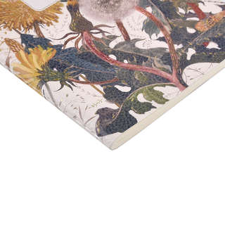 Тетрадь А5, 60 листов, линейка, 'Summer Greens' BrunoVisconti 2