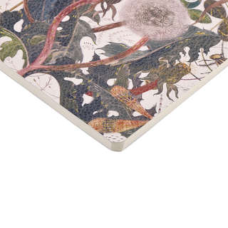 Тетрадь А5, 60 листов, линейка, 'Summer Greens' BrunoVisconti 3