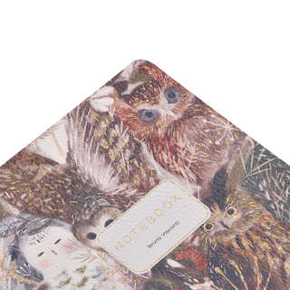 Тетрадь А5, 60 листов, линейка, 'Волшебные совы' BrunoVisconti 4