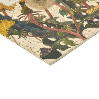 Тетрадь А5, 40 листов, линейка, 'Summer Greens' BrunoVisconti 2