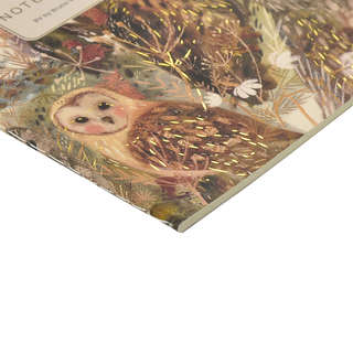 Тетрадь А5, 40 листов, линейка, 'Волшебные совы' BrunoVisconti 5