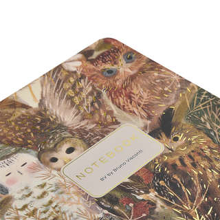 Тетрадь А5, 40 листов, линейка, 'Волшебные совы' BrunoVisconti 6