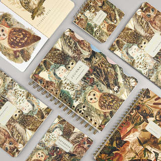 Тетрадь А5, 40 листов, линейка, 'Волшебные совы' BrunoVisconti 7