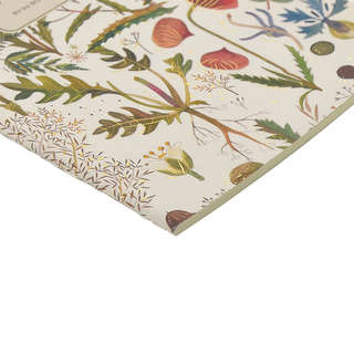 Тетрадь А5, 40 листов, линейка, 'Луговые травы' BrunoVisconti 6