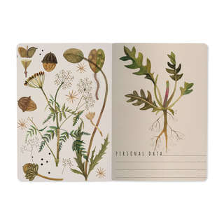 Тетрадь А5, 40 листов, линейка, 'Луговые травы' BrunoVisconti 2