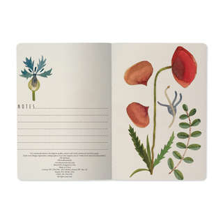 Тетрадь А5, 40 листов, линейка, 'Луговые травы' BrunoVisconti 4