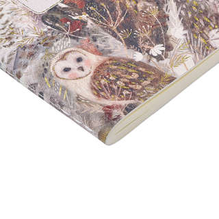 Тетрадь А6, 60 листов, линейка, 'Волшебные совы' BrunoVisconti 2