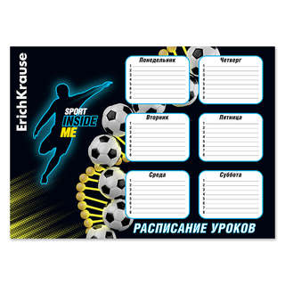Расписание уроков ErichKrause Sport DNA, А3
