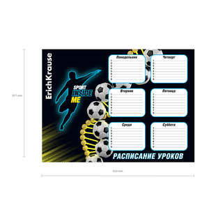 Расписание уроков ErichKrause Sport DNA, А3 2