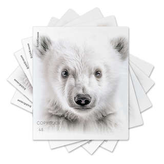 Тетрадь А5, 48 листов в клетку, на скобе, ErichKrause Whiteou...