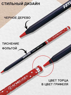 Набор карандашей 48 цветов, Acmeliae Blackwood Artmate в картонном футляре 6