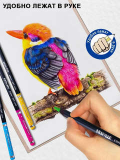 Набор карандашей 48 цветов, Acmeliae Blackwood Artmate в картонном футляре 9