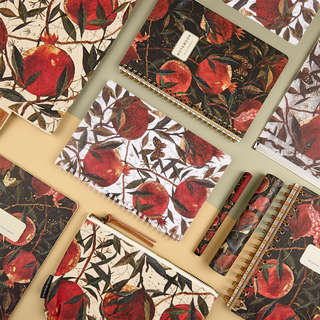 Папка  А4, BV 'Гранат' с пластиковой застежкой 4