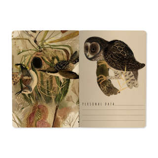 Тетрадь общая А5, 40 листов, клетка, 'Fauna. Птицы' BrunoVisconti 2