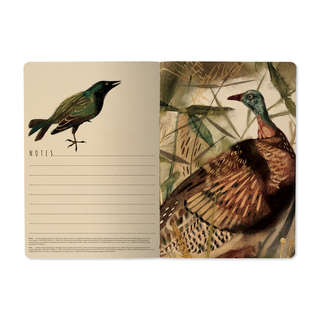 Тетрадь общая А5, 40 листов, клетка, 'Fauna. Птицы' BrunoVisconti 3