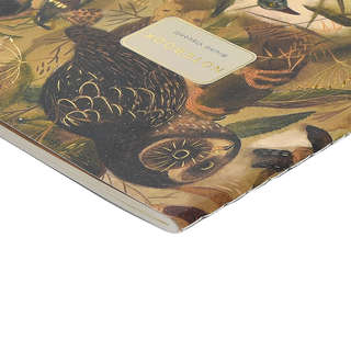 Тетрадь общая А5, 40 листов, клетка, 'Fauna. Птицы' BrunoVisconti 5